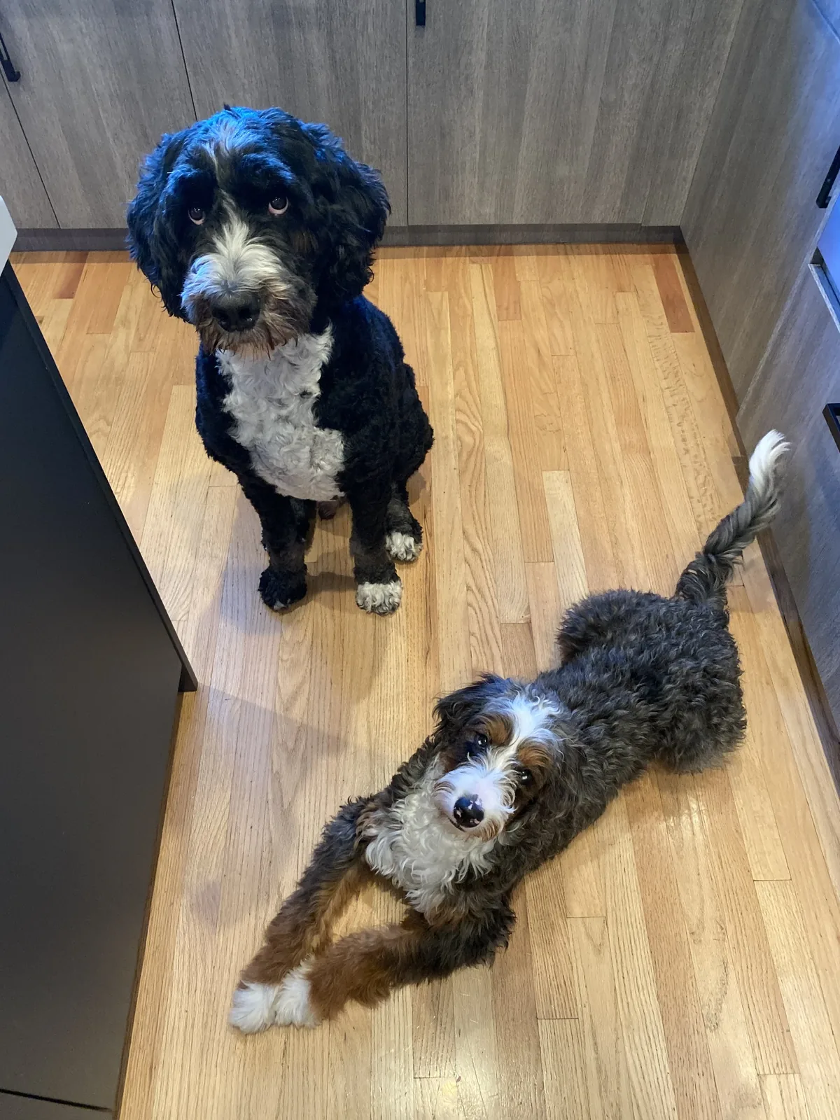 Leroy and Millie